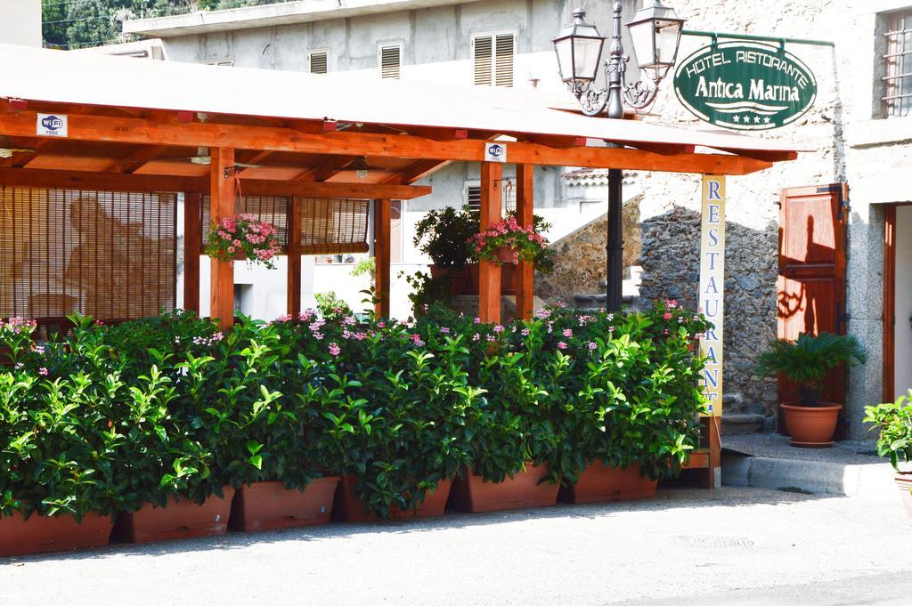 Hotel Ristorante Antica Marina Nicotera Exteriér fotografie